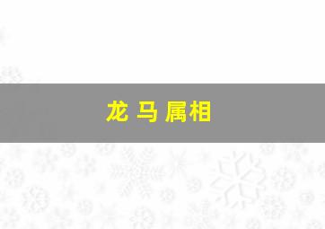 龙 马 属相